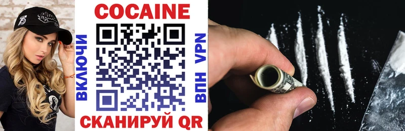COCAIN FishScale Верхняя Тура
