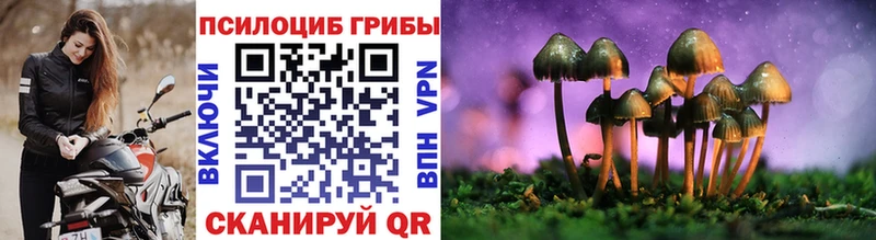 Галлюциногенные грибы Psilocybine cubensis  Верхняя Тура 